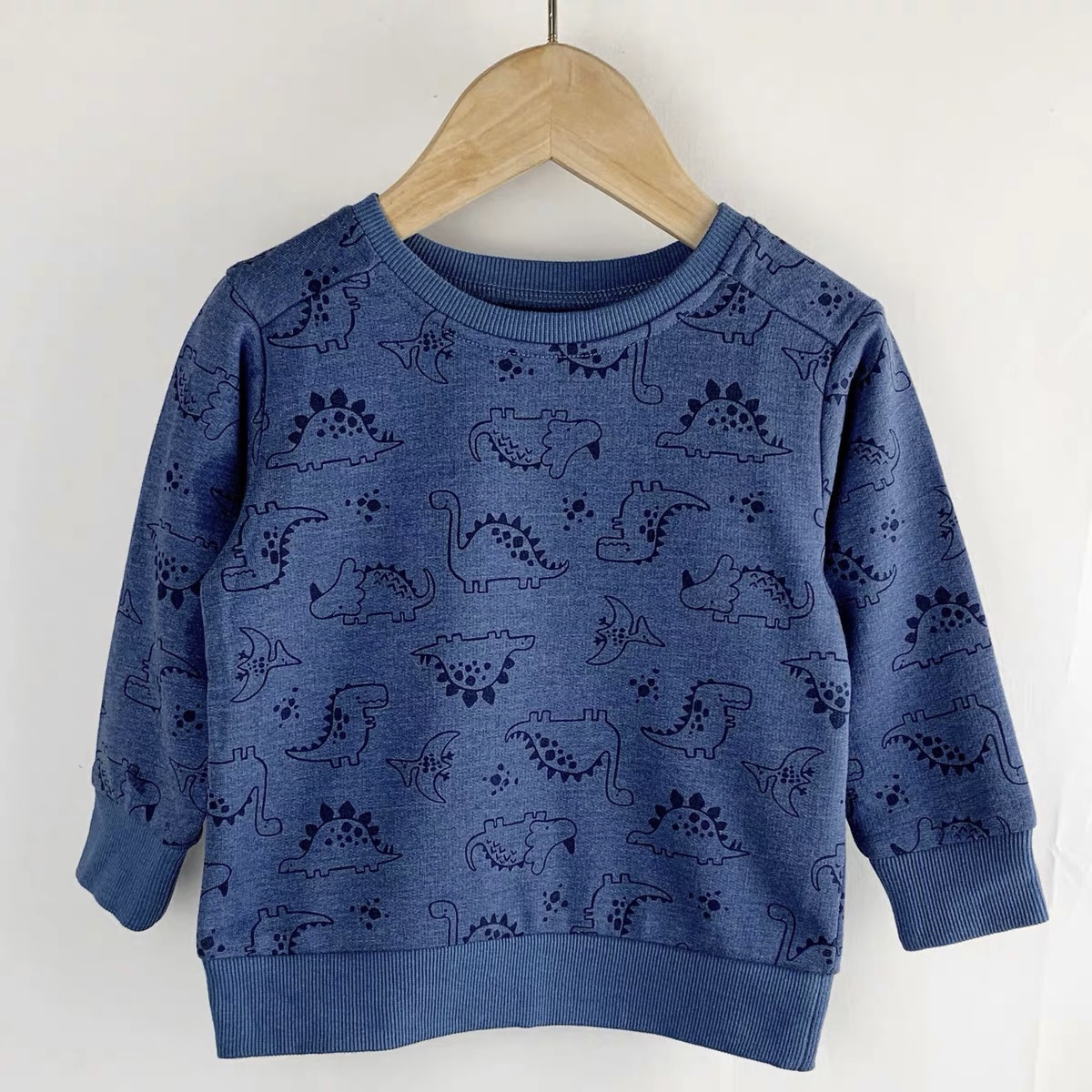 Sweatshirt with dinosaurs